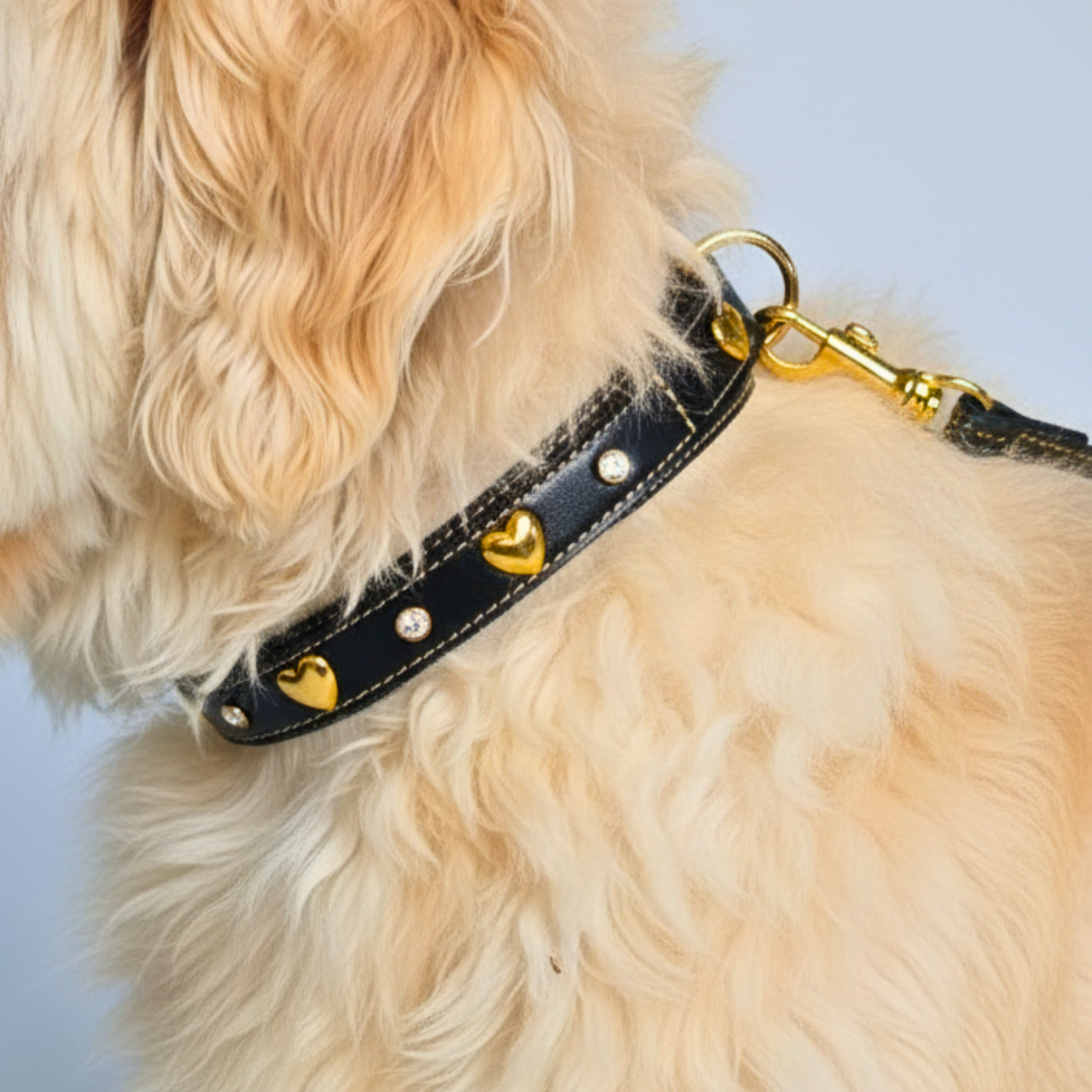 Set Collare con Cristalli e Guinzaglio in Pelle per Cani